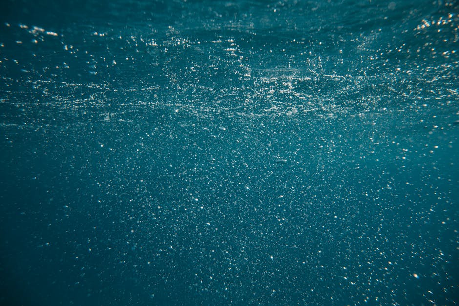 pexels-photo-5008169-5008169 Enchanting underwater view with bubbles and shimmering light creating a mystical atmosphere.
